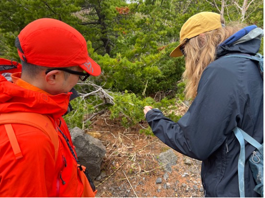 DMC事業イメージ2